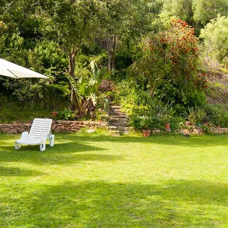 Aurora Проживание в семье