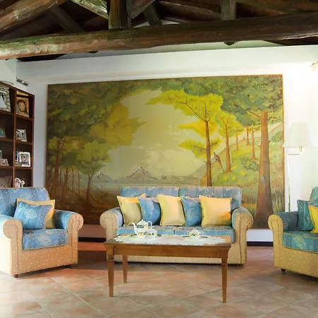 Aurora Проживание в семье