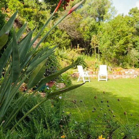 Aurora Проживание в семье *