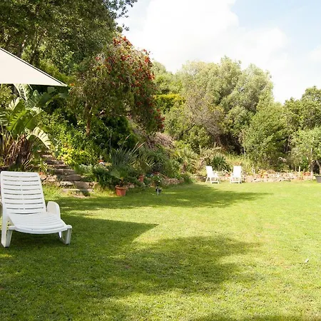 Aurora Homestay *